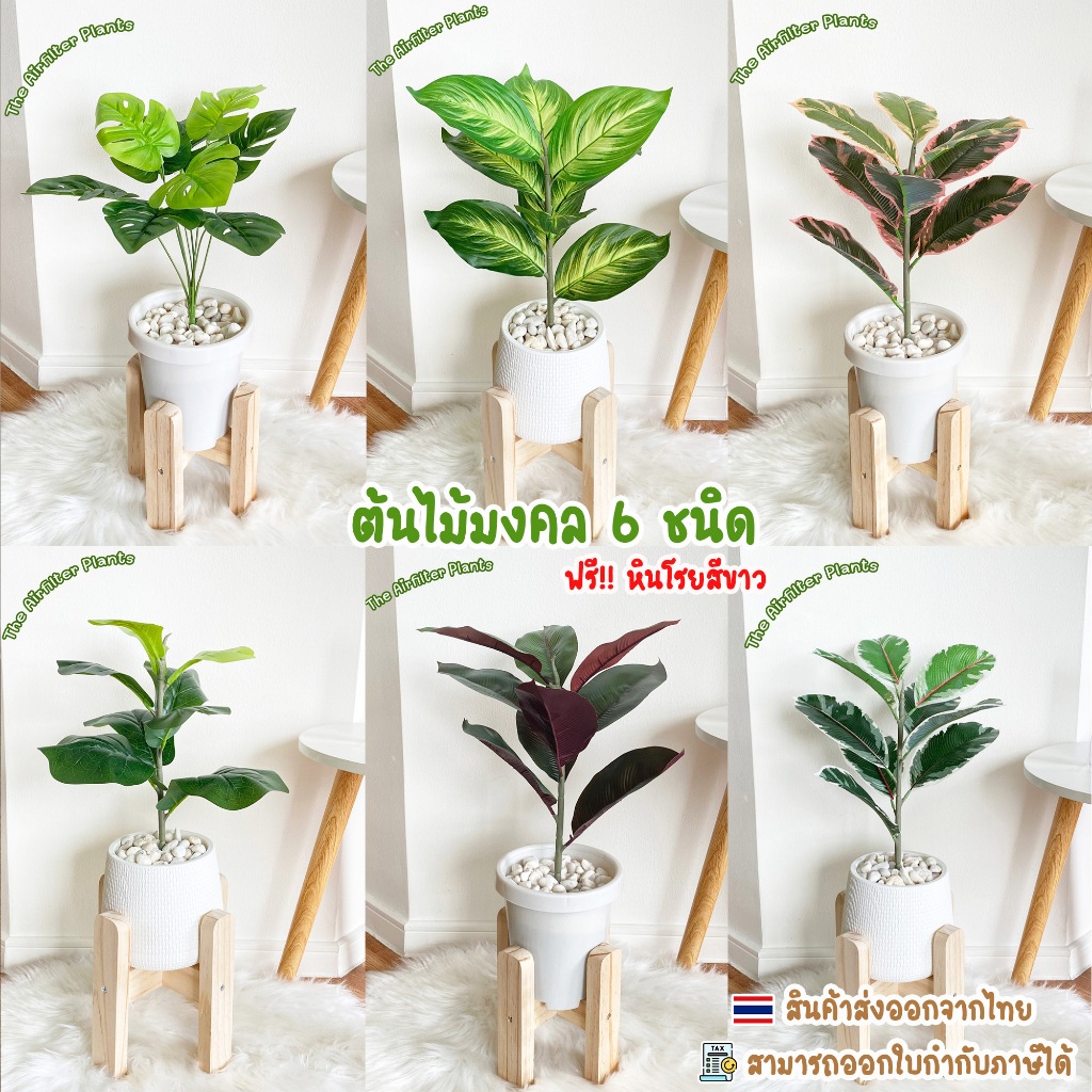 ต้นไม้ปลอม ต้นไม้มงคล 6 ชนิด ตั้งโต๊ะ ตั้งหน้าทีวี พร้อมกระถางและหินสีขาว (สูง40ซม.)🍀