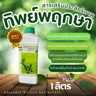 สารจับใบ ทิพย์พฤกษา สารเพิ่มประสิทธิภาพการดูดซึม ยาจับใบฝาเขียว 1 ลิตร ช่วยในการนำพาสารอาหารต่าง ๆ เข้าสู่พืชได้ดีขึ้น