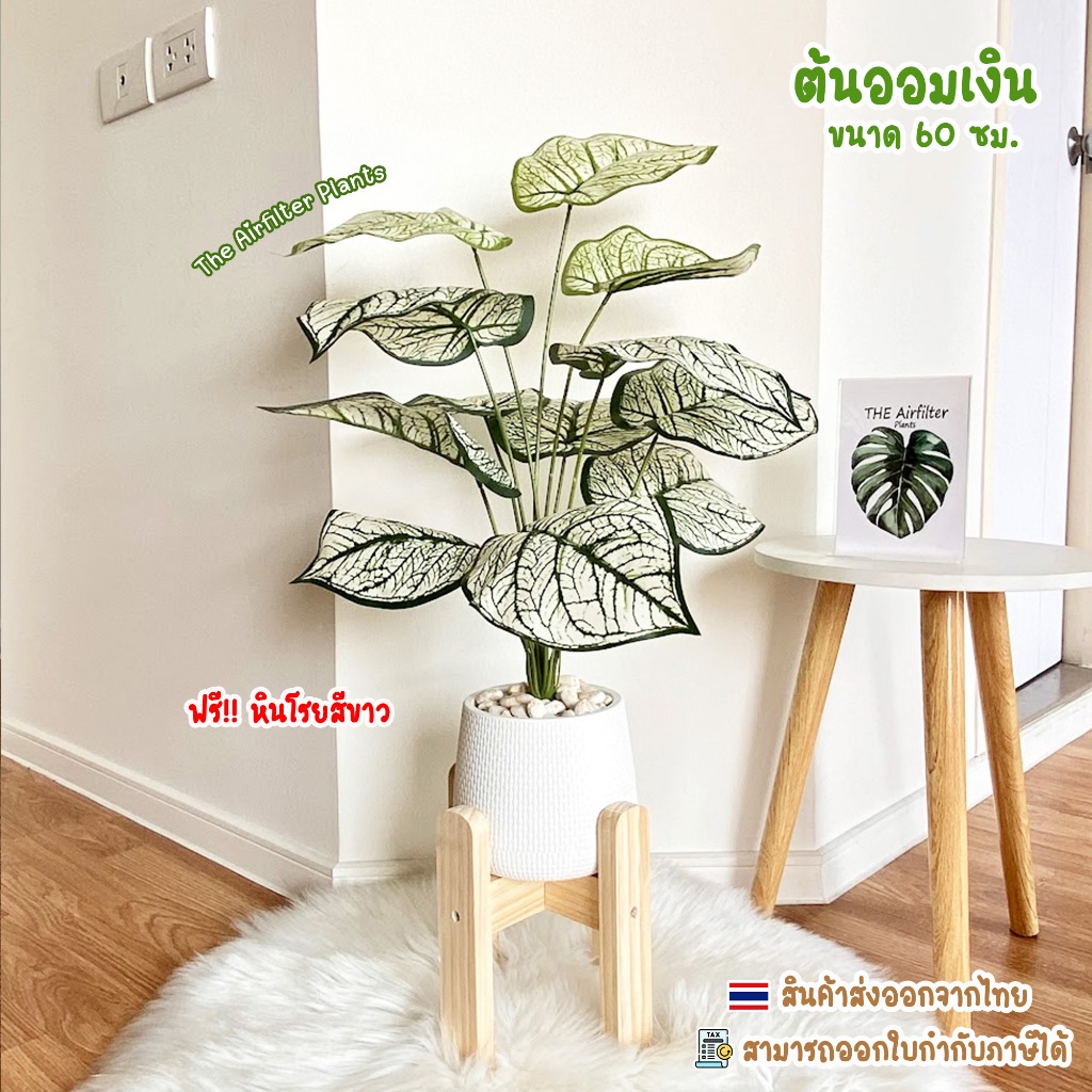 ต้นไม้ปลอม(ฟรี!!หินโรย) ต้นออมเงินขนาดสูง60-72ซม. ตั้งพื้นหัวเตียง ต้นไม้มงคล พร้อมกระถางและหินสีขาว