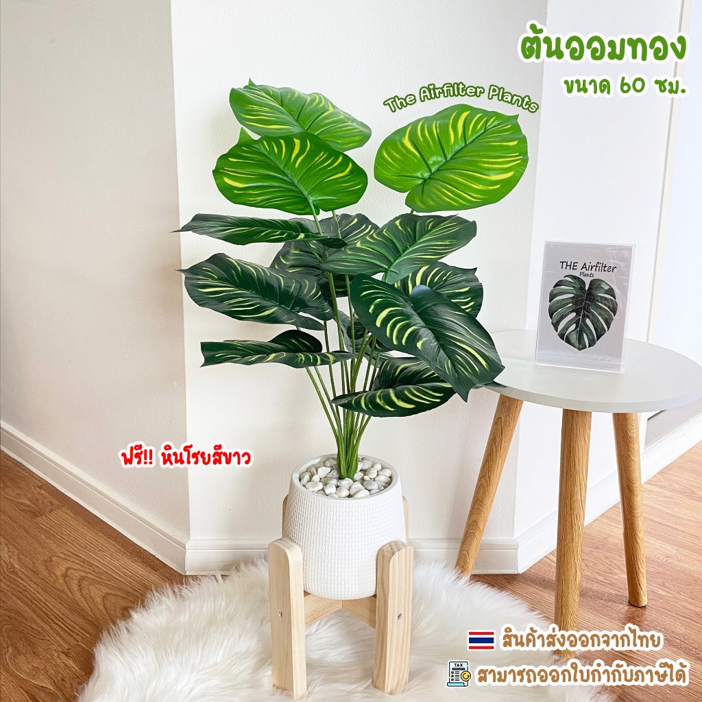 ต้นไม้ปลอม(ฟรี!!หินโรย) ต้นออมทองขนาดสูง60-72ซม. ตั้งหน้าทีวี ตั้งพื้นและหัวเตียง ต้นไม้มงคล พร้อมกระถางและหินสีขาว
