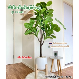 ต้นไม้ปลอมSizeใหญ่  พร้อมกระถางครบเซ็ต(ฟรี!!หินโรยสีขาว) ต้น…