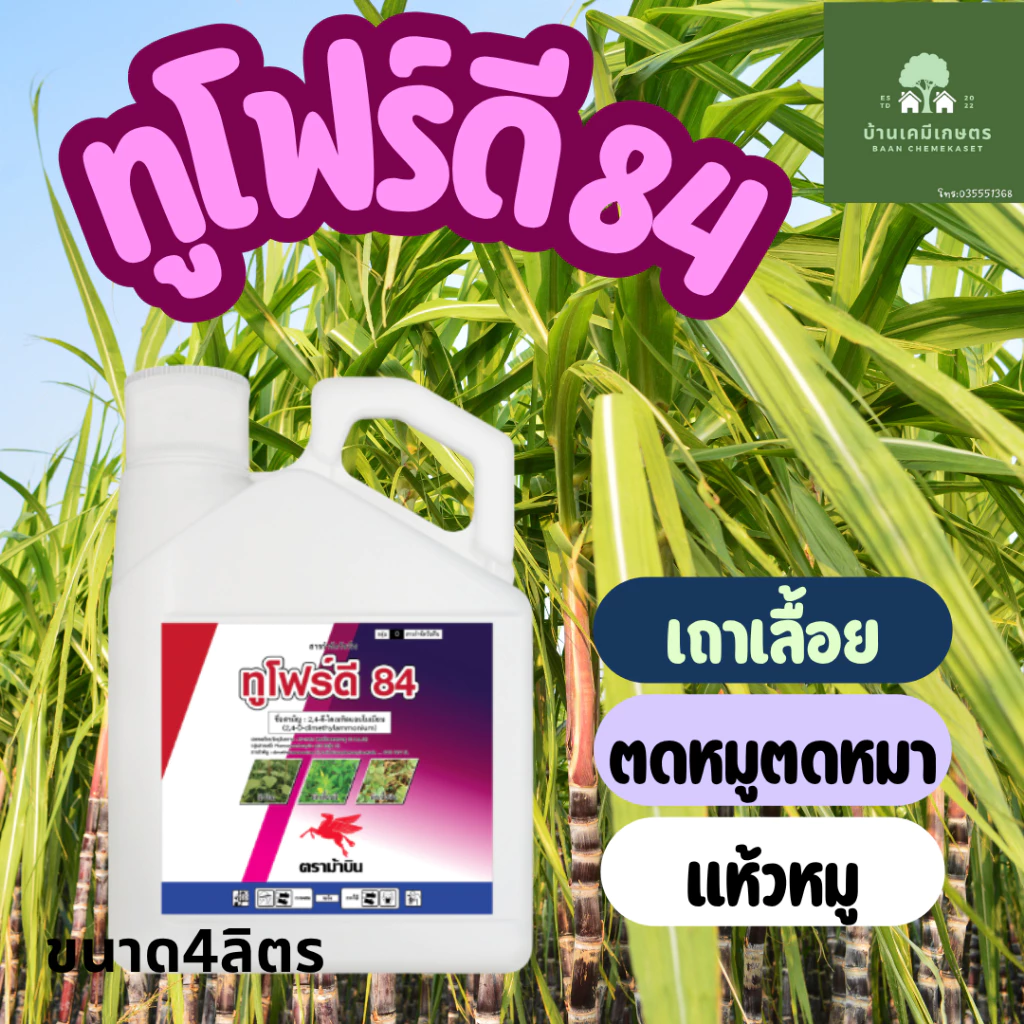 ทูโฟร์ดี ตราม้าบิน ขนาด 4ลิตร