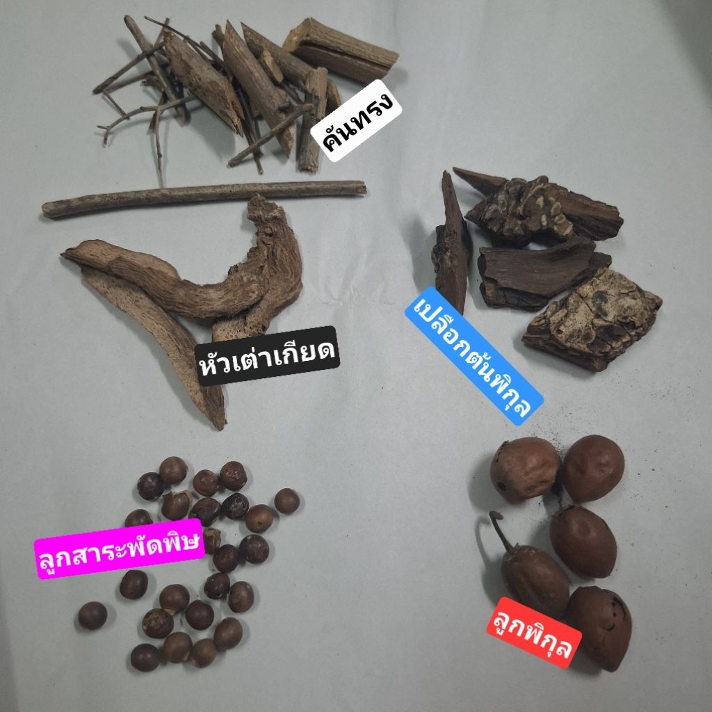 ดอกพิกุล เปลือกต้นพิกุล คันทรง หัวเต่าเกียด ลูกสาระพัดพิษ