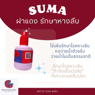 sumaฝาแดง แก้หางลีบ ปลากัดซึม ว่ายไม่เป็นธรรมชาติ