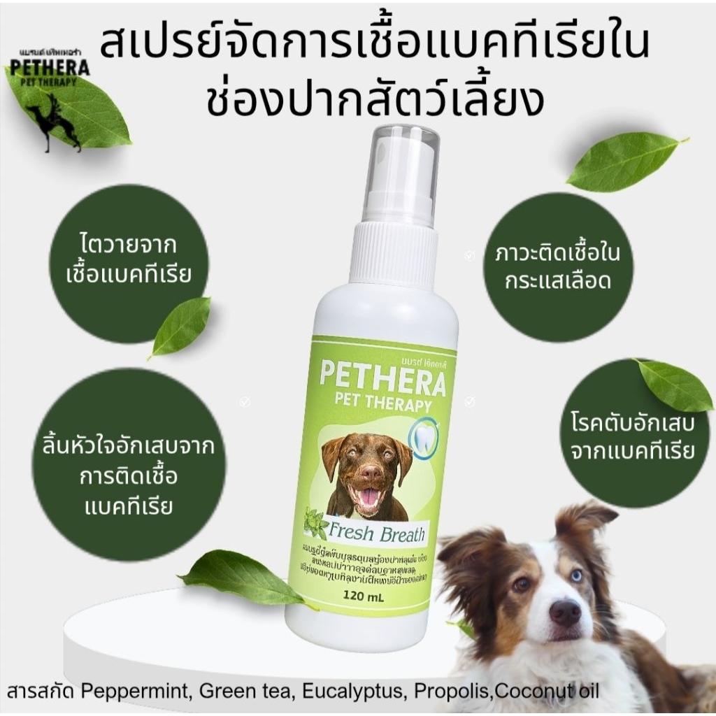 สเปรย์ลดเชื้อแบคทีเรียในปากสุนัขแมว ลดเชื้อที่ก่อให้เกิดโรคร้าย ช่วยดับกลิ่นปาก ลดอาการฟันผุ ขจัดคราบจากสารสกัดธรรมชาติ