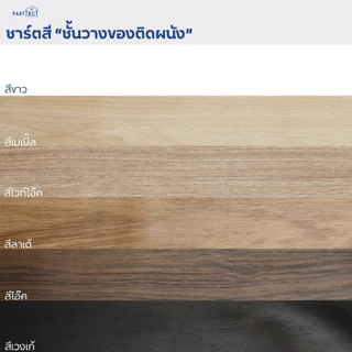 FASTTECT ชั้นวางของติดผนัง มินิมอล รุ่นขาเหล็ก รวมขนาด