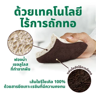 3M™ Scotch-Brite® สก๊อตช์-ไบรต์ ฟองน้ำเซลลูโลสพร้อมแผ่นใยขัด, กรีนเนอร์คลีน, สำหรับงานขัดทั่วไป, 2 ชิ้น/แพ็ค