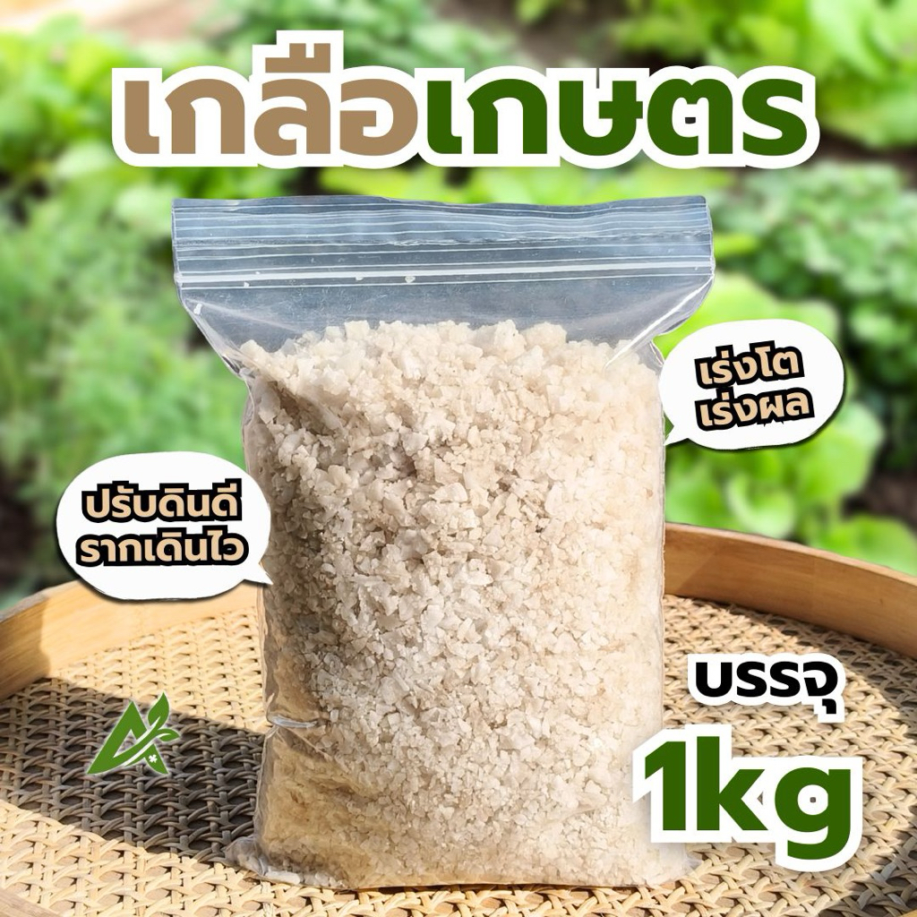 เกลือเกษตร ใช้โรยนา โรยดิน เกลือกำจัดหญ้า ใช้ในสวน ทำเกษตรได้ผลดี
