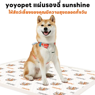 yoyopet : แผ่นรองฉี่ <ไม่มีแผ่นกาว> Pet Pad แผ่นรองฉี่สัตว์เลี้ยง ซึมซับดี ช่วยฝึกการขับถ่าย