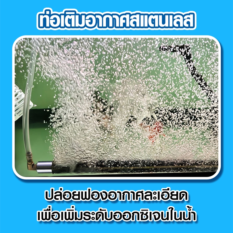 OXY BAR แท่งเติมอากาศต่อกับปั๊มลม อ๊อกซิเจนบาร์ มี 5 ขนาด 30cm / 50cm / 80cm / 100cm / 150cm - รูปที่ 5