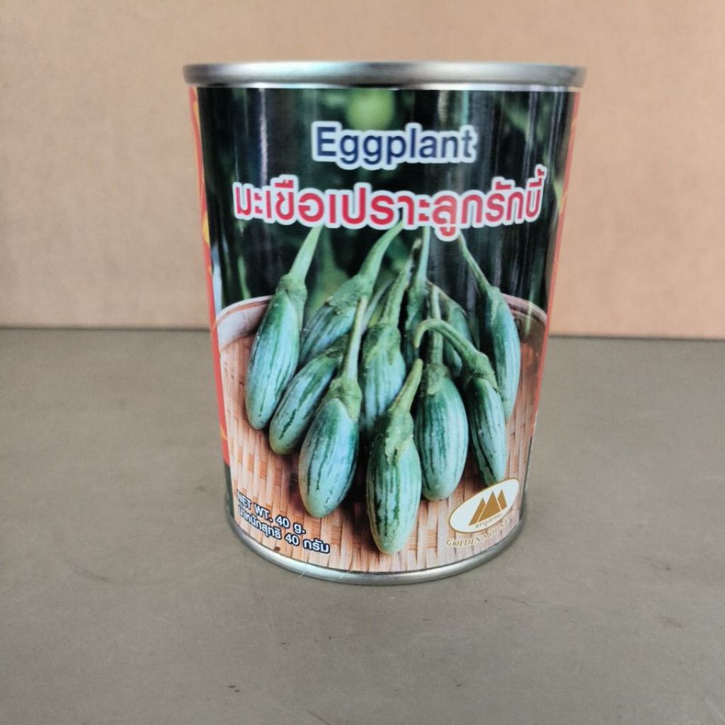 เมล็ดพันธุ์ มะเขือเปราะลูกรักบี้(40กรัม)ทรงรียาวผลลาย