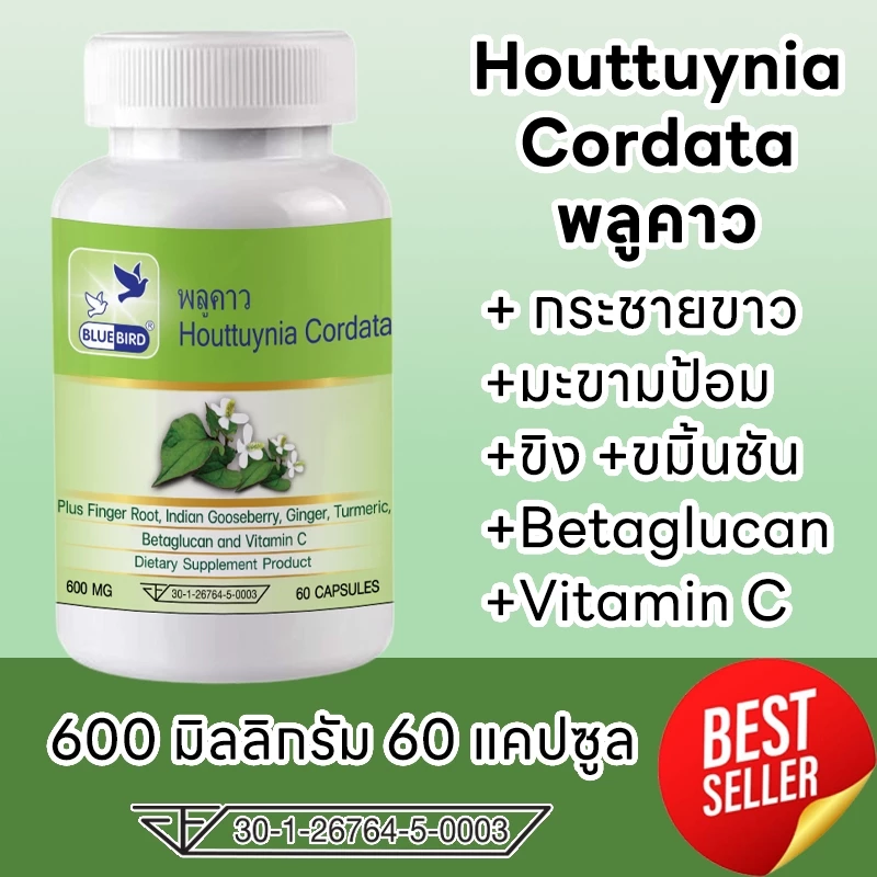 พลูคาว คาวตอง Cordata ตรา บลูเบิร์ด ขนาด 600 มิลลิกรัม 60 แคปซูล