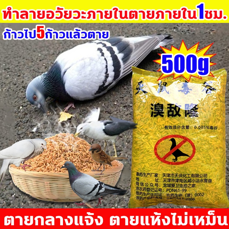 [บอกลาขี้นกที่กวนใจ]ยาเบื่อนก ยาฆ่านกพิราบ ทำลายอวัยวะภายในตายใน1วัน แห้งเร็วและไม่มีกลิ่น ยากำจัดนกพิราบ เห็นผลชัวร์