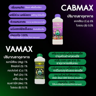 (1ชุด) CABMAX แคลเซียมโบรอนเข้มข้น VAMAX ธาตุอาหารรวมเข้มข้น ZENMAX อะมิโนรวมเข้มข้น (Z1+C1+V1)