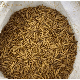 BSF หนอนแมลงวันลายอบแห้ง โปรตีนสูง สำหรับสัตว์เลี้ยง ฟาร์มไก่ ปลา กบ เม่น (1Kg/2Kg/3Kg) โรงงานส่งตรง ราคาถูกสุด