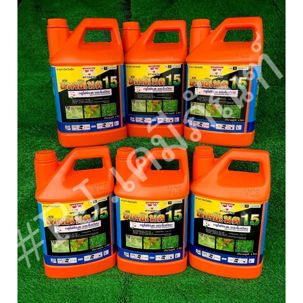 ช๊าคซิเนต 4 ลิตร (ขนาดบรรจุ 6 แกลลอน/ลัง) #ยากำจัดหญ้า #กลูโฟซิเนต แอมโมเนียม น้ำสีฟ้าเกรดA