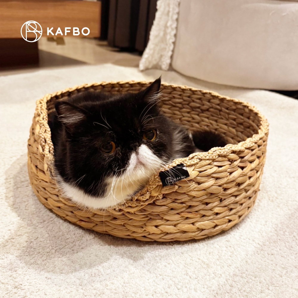 KAFBO Cat Nest Basket - ตะกร้าแมว ตะกร้าสานสำหรับแมว ที่นอนแมว ที่ลับเล็บแมว FREE!! Catnip! - รูปที่ 6