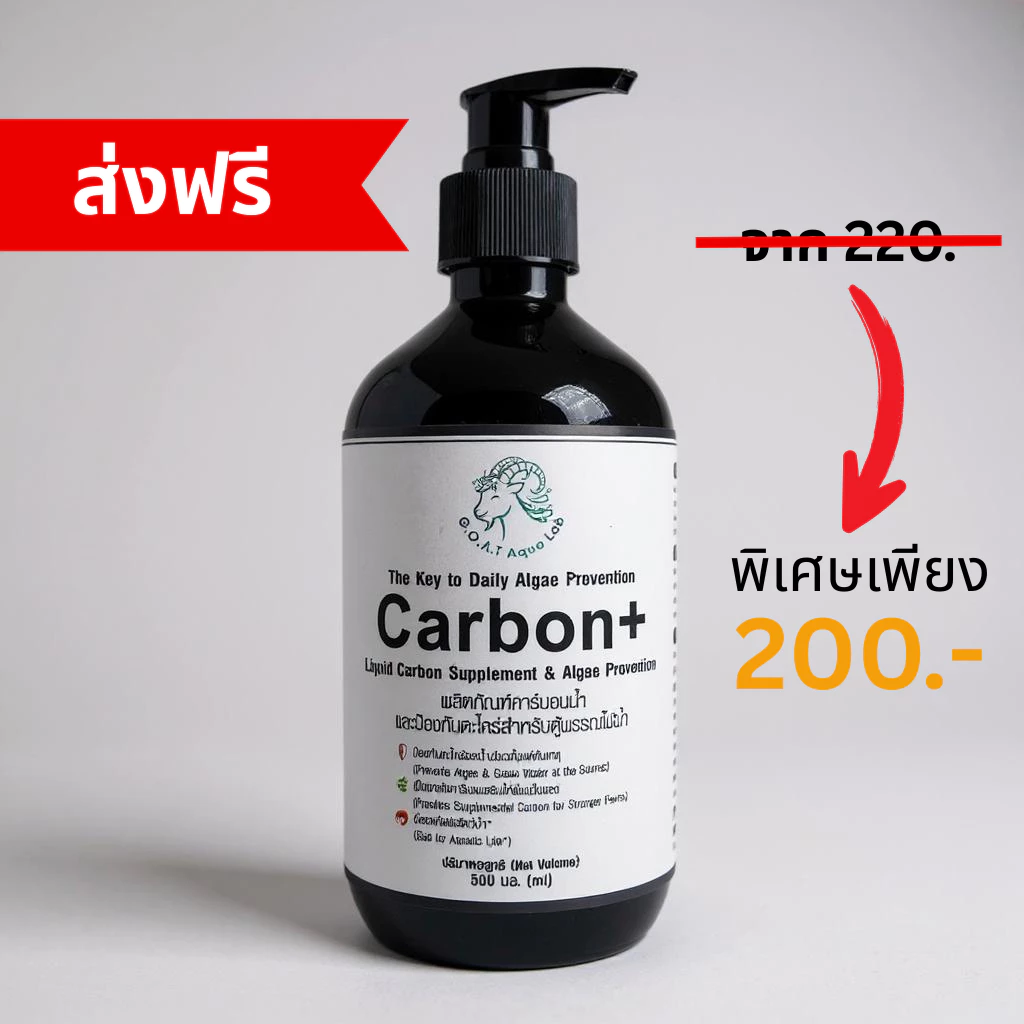 (ส่งด่วน)Carbon+ คาร์บอนน้ำ 500ml ลดตะไคร่น้ำในตู้ปลา liquid carbon ปลอดภัยต่อกุ้งและปลา thumbnail 3
