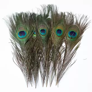 ขนหางนกยูง ราคา2ชิ้น ยาว30ซม.สินค้ามีพร้อมส่ง