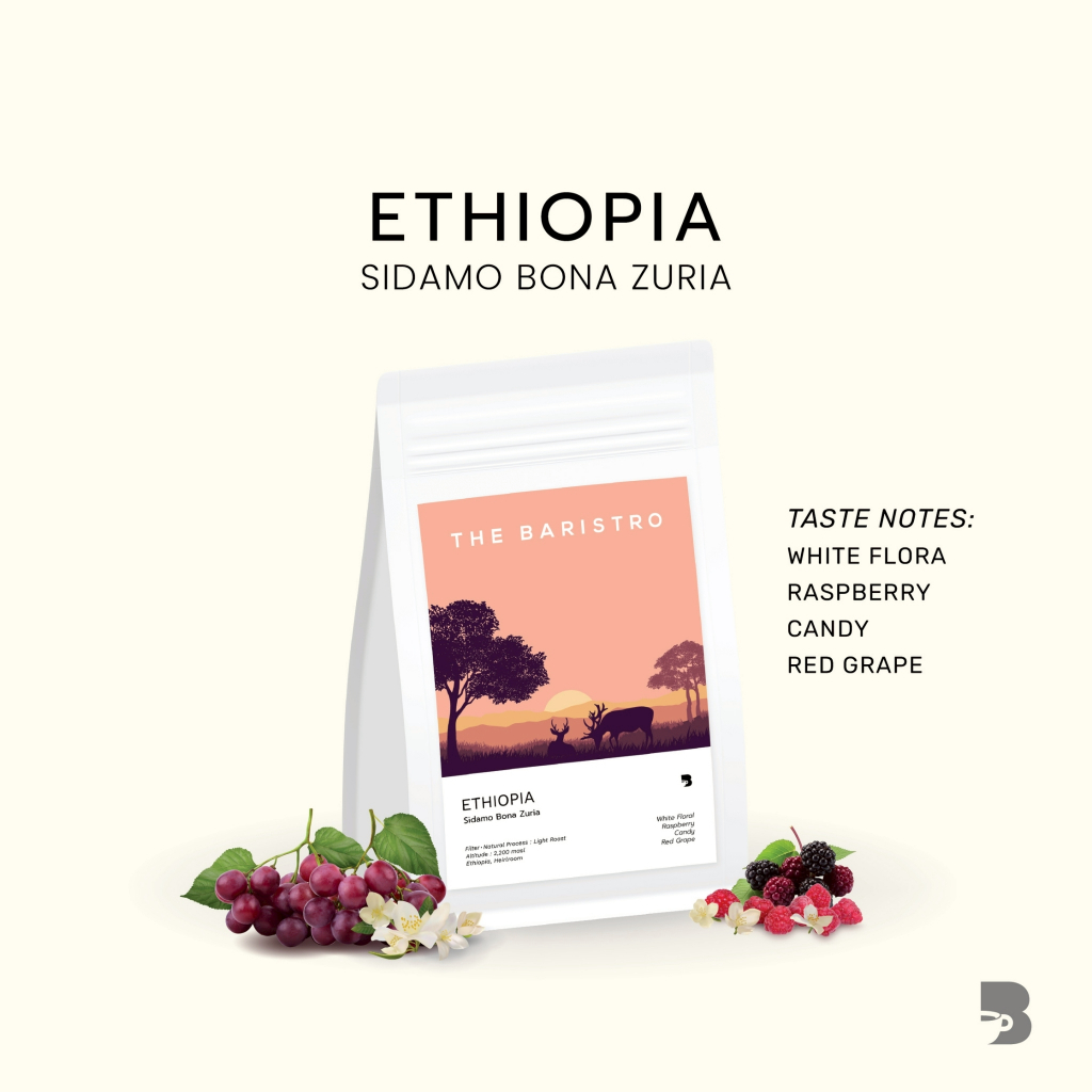เมล็ดกาแฟ คั่วอ่อน - Ethiopia Sidamo Bona Zurai