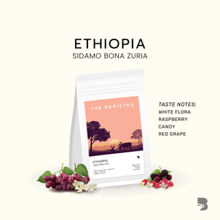 เมล็ดกาแฟ คั่วอ่อน - Ethiopia Sidamo Bona Zurai