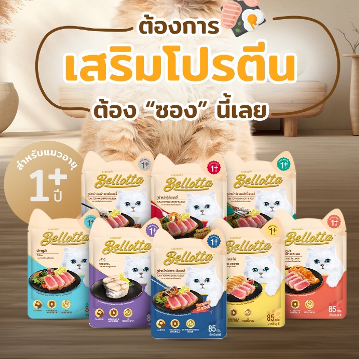 ส่งด่วนมาก+ผ่อนได้⚡️Bellotta เบลอตต้า อาหารเปียกแมว แมวโต ไม่เติมเกลือ ไม่เค็ม ปลาทู ทูน่า กุ้ง ไก่ แซลมอน ขนาด 85 กรัม
