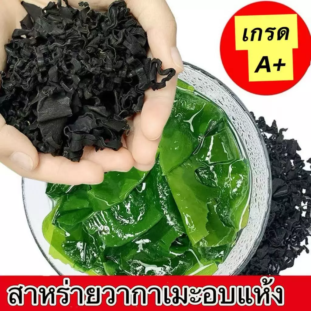 ส่งไว สาหร่ายวากาเมะ เกรดA+ สาหร่ายวากาเมะอบแห้ง Dried Wakame Seaweed 裙带菜 건미역
