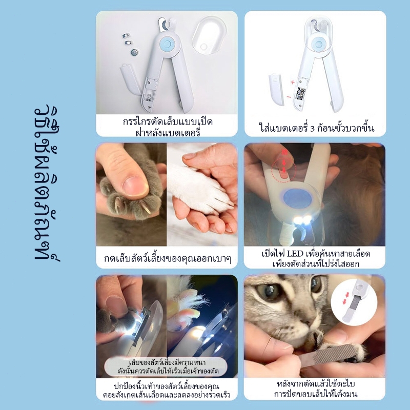 รูปภาพ 4