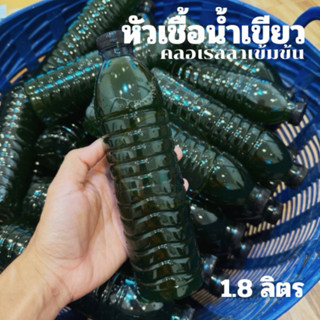 หัวเชื้อน้ำเขียวคลอเรลลา เขียวเข้มข้น ไม่มีโรติเฟอร์ (1.5 L)