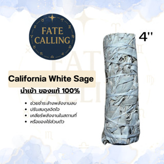 California White Sage (ไวท์เสจ) นำเข้าของแท้100% ขนาด 4 นิ้ว…