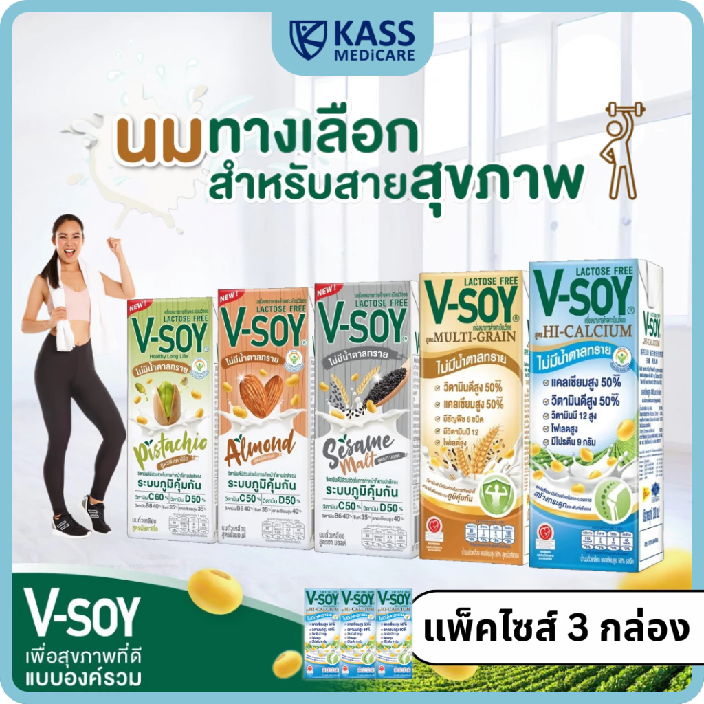 V-soy วีซอย นมถั่วเหลือง เพื่อสุขภาพ รวมทุกรสชาติ (แพ็ค 3 กล่อง)