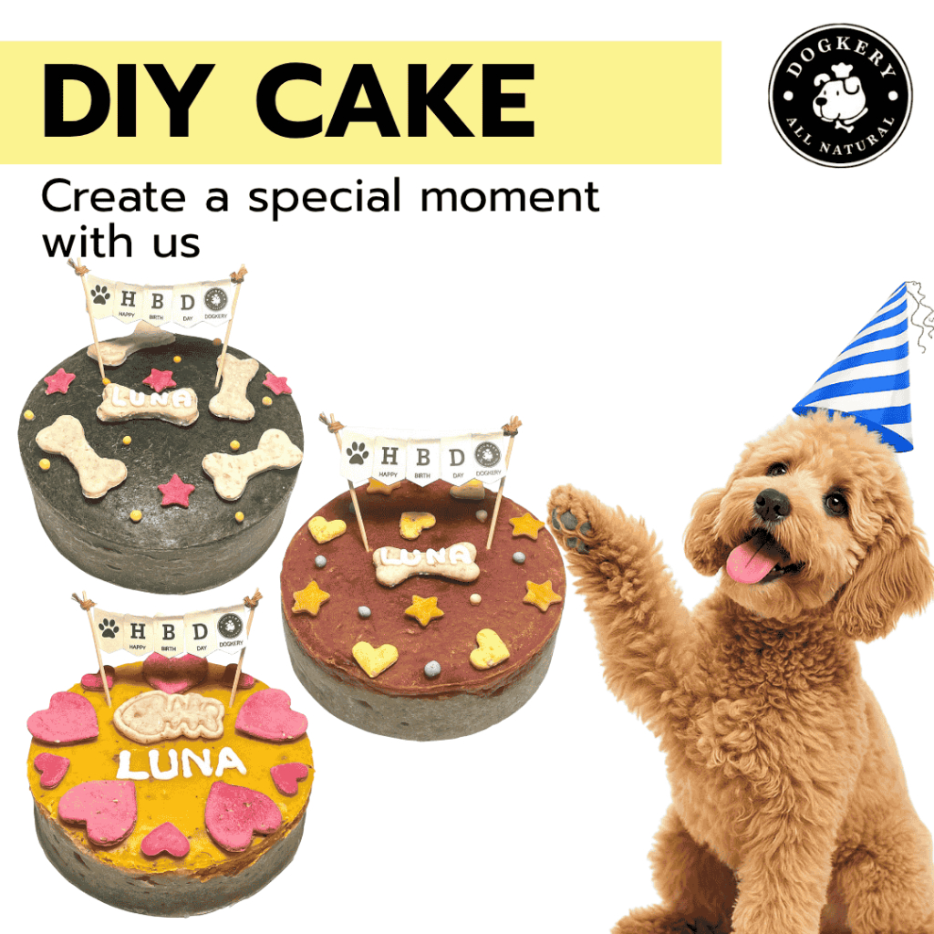 DOGKERY DIY DOG CAKE เค้ก DIY สำหรับสุนัขแบบแช่แข็ง