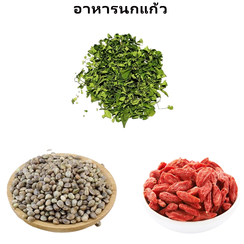 อาหารนกแก้ว อาหารนก แฮมสเตอร์ อาหารนกแก้ว เมล็ดฮวยมั้ว สำหรับนก ฟอพัสซันคอนนัวร์ คอกคาเทล เลิฟเบิร์ด