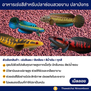 อาหารเร่งสีปลาช่อนสวยงาม (เม็ดลอย)