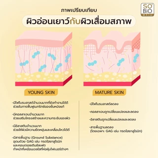 SO'BiO etic Global Serum Anti-aging เซรั่มเข้มข้นกู้ผิวแก่ ให้ผิวแน่นเด้ง ผิวกระชับอิ่มฟู ริ้วรอยจาง
