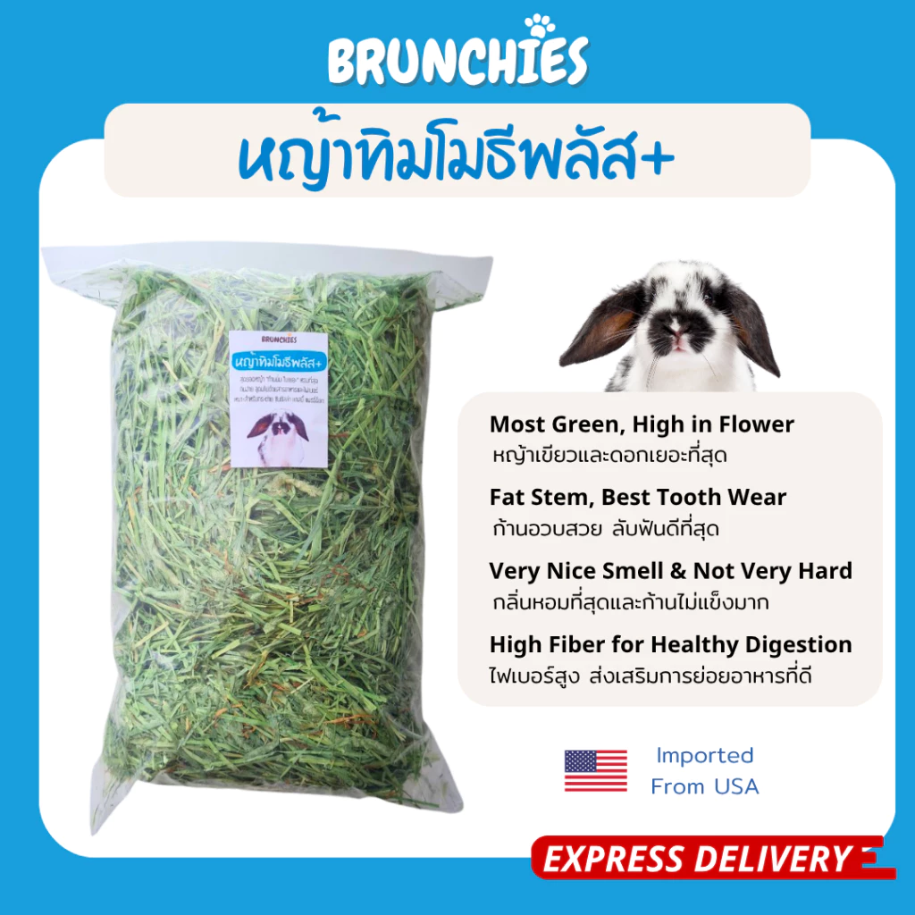 Brunchies หญ้าทิมโมธีอย่างดีร่อนฝุ่น (1kg) พรีเมียม ใหม่สุด เขียว หอม กินง่าย ดอกเยอะ ลับฟันดี thumbnail 7