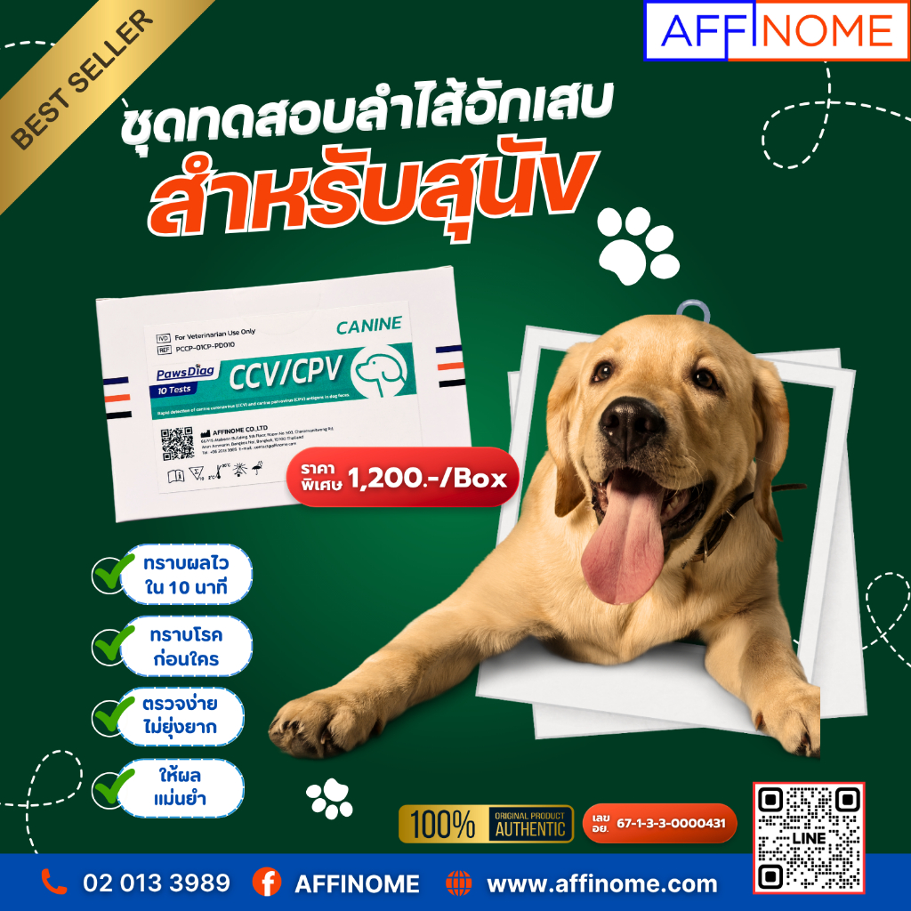 PawsDiag CCV/CPV ชุดทดสอบลำไส้อักเสบสำหรับสุนัข 10 Tests