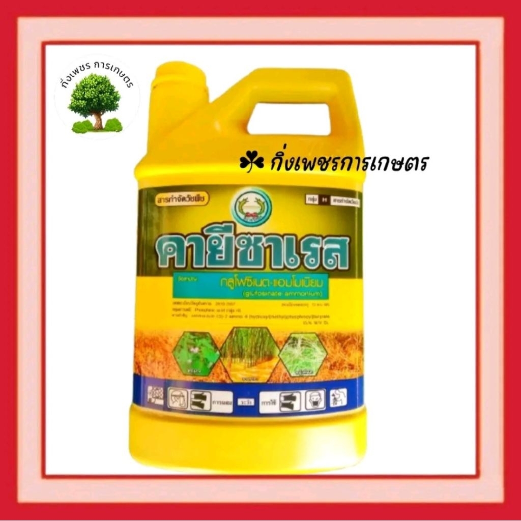 คายีซาเรส (4 ลิตร) ส่งตรงจากโรงงาน กลูโฟซิเนต แอมโมเนียม 15 %น้ำใสสีฟ้า