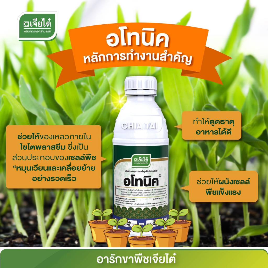 อโทนิค เจียไต๋ สารควบคุมการเจริญเติบโตของพืช อโทนิค กระตุ้น ฟื้นฟู ชูกำลัง ขนาด 1 ลิตร