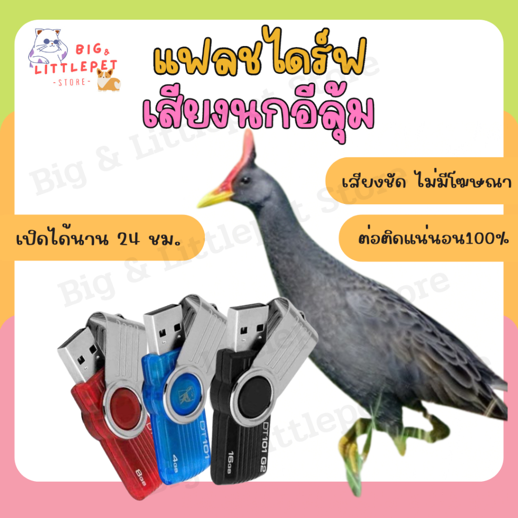 แฟลชไดร์ฟเสียงนกอีลุ้ม นกตูม USB เสียงต่อนกอิลุ่ม เสียงชัด ไม่มีโฆษณาคั่น ต่อติดแน่นอน เปิดได้นาน