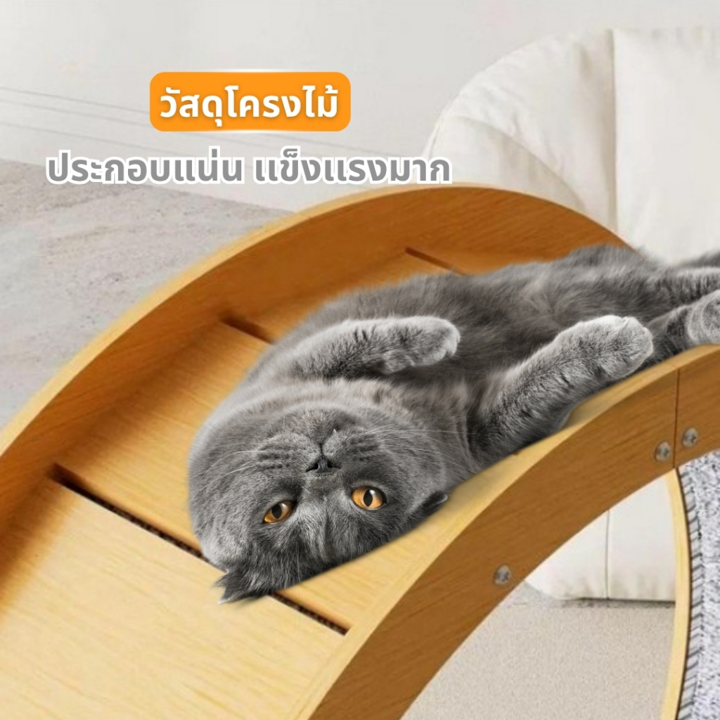 🐱[PetParadise.th]🐶 ลู่วิ่งแมว ที่ออกกำลังกายสัตว์ ล้อวิ่งแมว วงล้อแมว อัพเกรดใหม่ เสียงรบกวนเบาลง รูปที่ 2