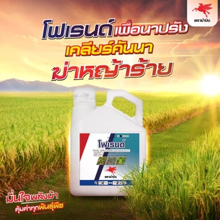 โฟเรนด์ กลูโฟซิเนต 4ลิตร ตราม้าบิน กำจัดวัชพืช