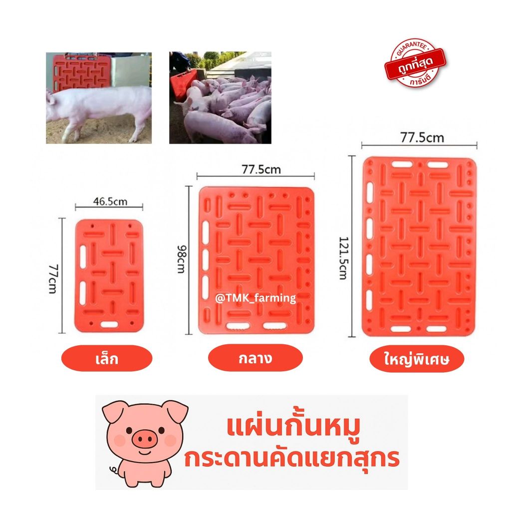 แผ่นกั้นหมู แผ่นกั้นสุกร กระดานคัดแยกสุกร หนาพิเศษ