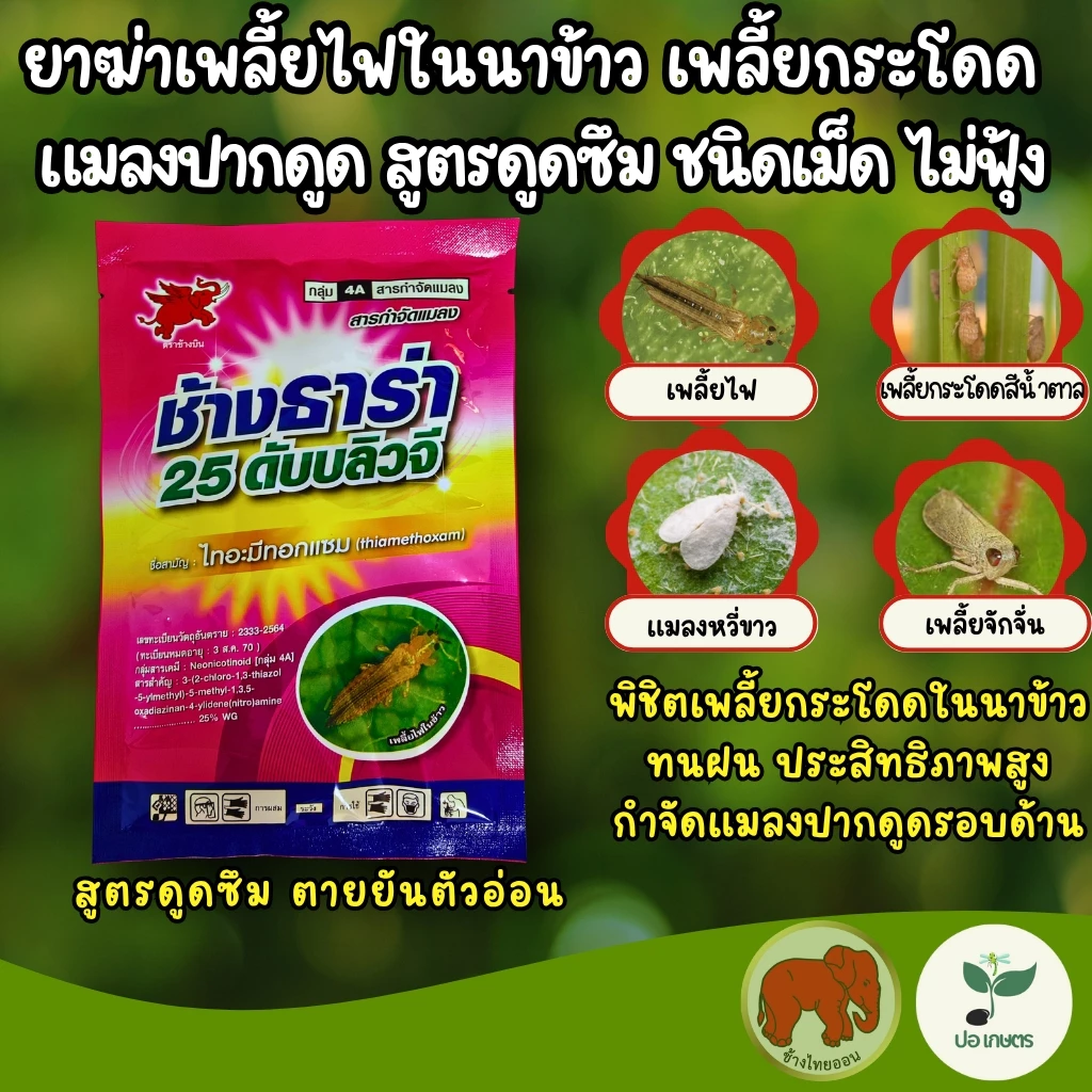 ช้างธาร่า (100 กรัม) [ไทอะมีทอกแซม] ยาฆ่าเพลี้ยไฟในนาข้าว เพลี้ยกระโดด แมลงปากดูด สูตรดูดซึม ชนิดเม็ด ไม่ฟุ้ง