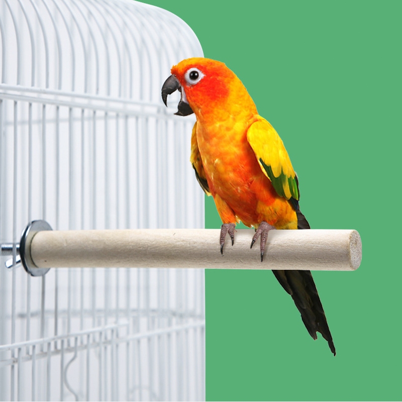 คอนยืนไม้แท่ง กลึงกลม คอนไม้ คอนนก คอนติดกร สำหรับนกแก้ว เลิฟเบิร์ด ค๊อกคาเทล กรีนชีค - รูปที่ 6