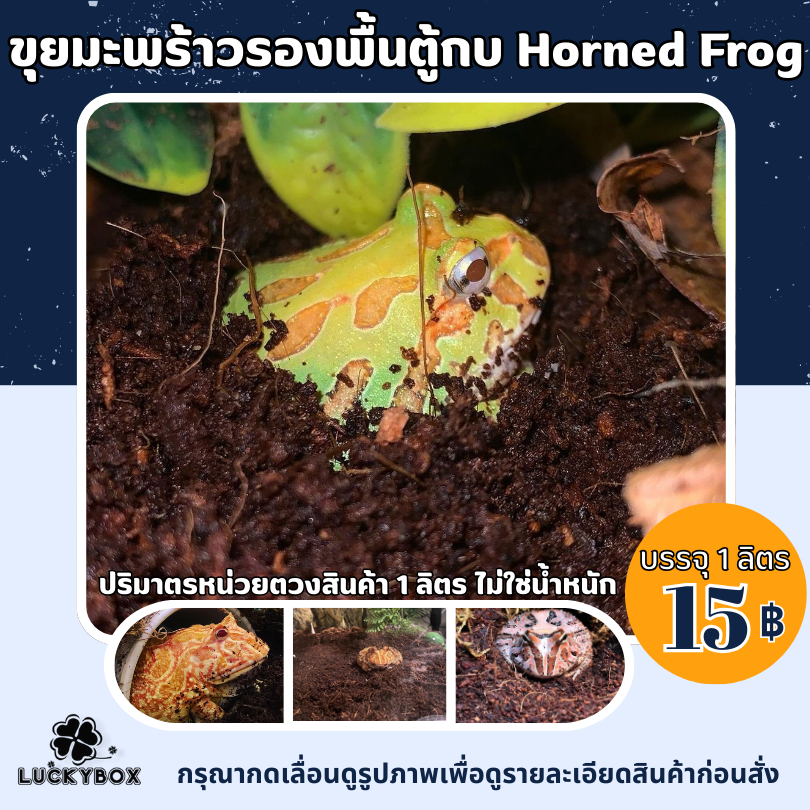 ขุยมะพร้าว วัสดุรองพื้นตู้กบ  Horned Frog ฮอร์นฟรอก แบบประหยัด ลิตรละ 15 บาท