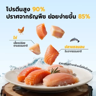 Bite Of Wild แซลมอน อาหารแมว 500g. Grain free โปรตีนสัตว์ 90% น้ำมันแซลมอน บำรุงขนและผิวหนัง