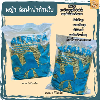 หญ้าอัลฟาฟ่าก้านใบ Alfalfa โปรตีนสูง 2ขนาด​ ใบเยอะกลิ่นหอม