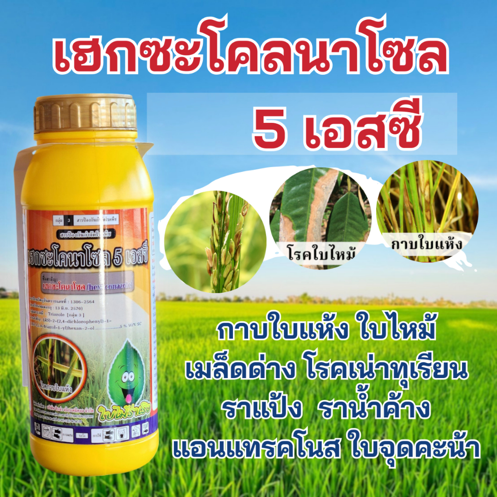 เฮกซะโคนาโซล สารป้องกันกำจัดโรคพืช เชื้อราใบไหม้ กาบใบแห้ง เมล็ดด่าง โรคเน่าในทุเรียน มะม่วง แอนแทรคโนส ราแป้ง ราน้ำค้าง