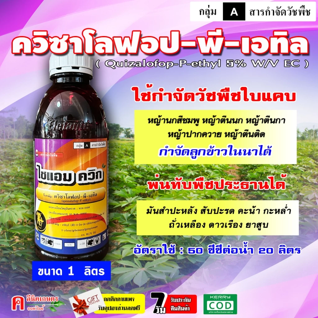 ไซแอม-ควิก ควิซาโลฟอป-พี-เอทิล 5% ( 1 ลิตร ) สารกำจัดวัชพืชใบแคบทุกชนิด หญ้าข้าวนกสีชมพู ตีนนก ดอกขาว ปากควาย หางหมา